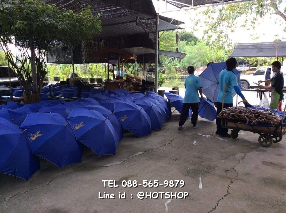 รับสกรีนร่ม รับผลิตร่ม ขายส่งร่ม ร่มสีน้ำเงิน ร่มกระต่าย ร่มแจก