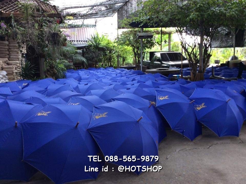 รับสกรีนร่ม รับผลิตร่ม ขายส่งร่ม ร่มสีน้ำเงิน ร่มกระต่าย ร่มแจก